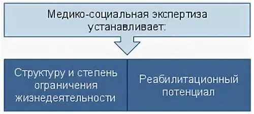 Управление социальной экспертизы