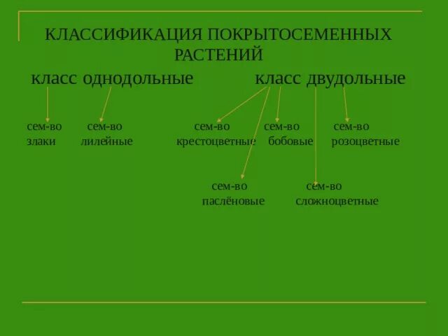 Классы покрытосеменных однодольные и двудольные. Классификация покрытосеменных класс двудольные и Однодольные. Систематика двудольных покрытосеменных растений. Классификация растений двудольные Однодольные Покрытосеменные. Систематика однодольных и двудольных растений.