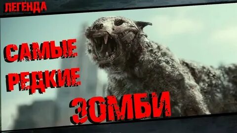 Мой духовный питомец зомби