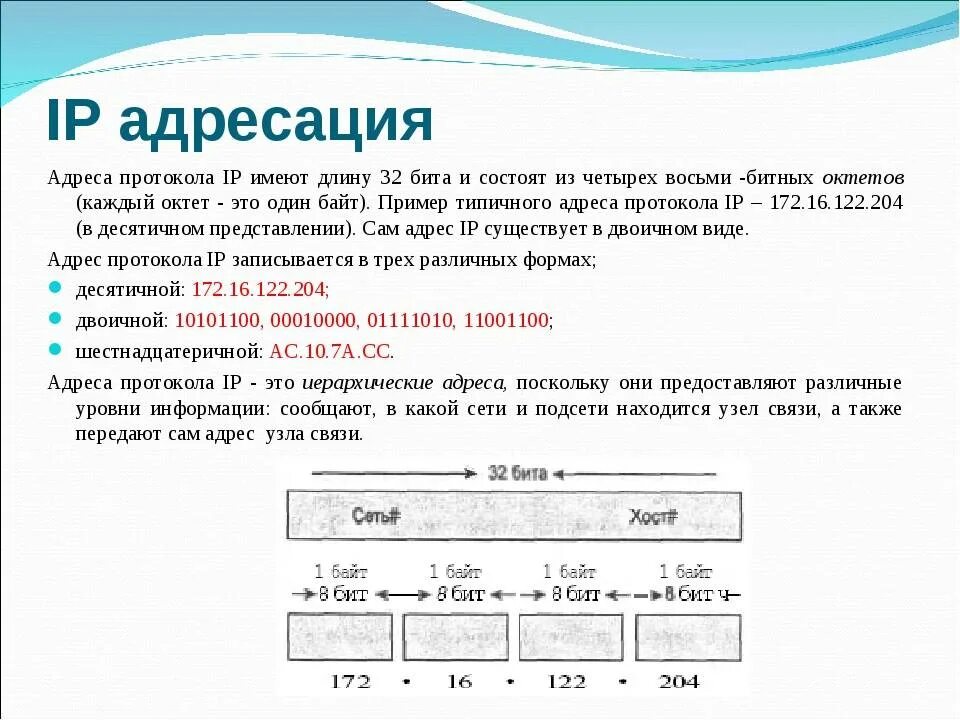 Адресация в IP-сетях. IP address как выглядит. Как правильно определить IP адрес. IP адресация компьютеров в сети.