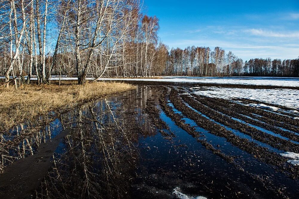 Апрель природа. Апрель картинки.