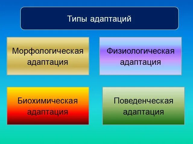 Биохимический вид адаптации примеры Биохимическая адаптация картинки