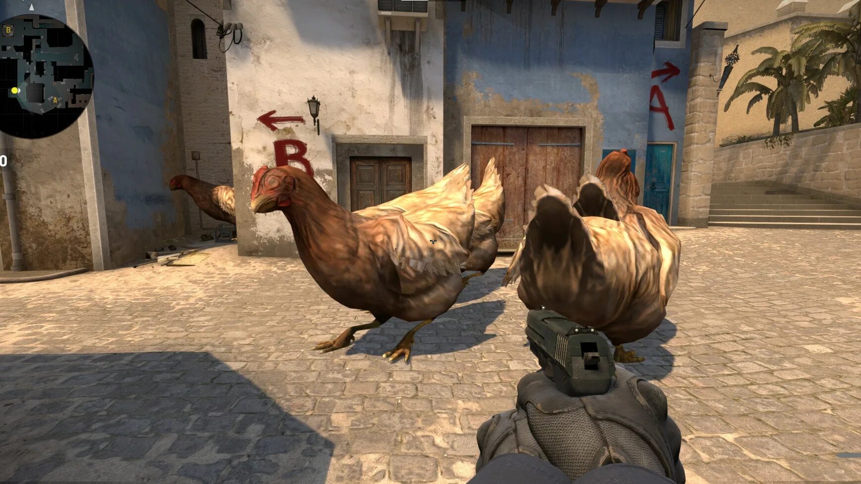 Chicken to go. Counter-Strike: Global Offensive курица. Counter Strike go курица. Курица КС 1.6. Курица CSGO.