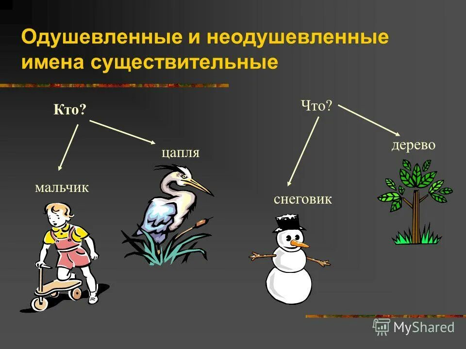 одушевленное и неодушевленное имя существительное как определить