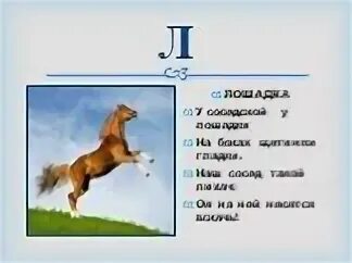 Мчатся вскачь предложение. Лошадь бежит. Дикий гнедой мустанг. Мчаться вскачь. Машина мчит по дороге.