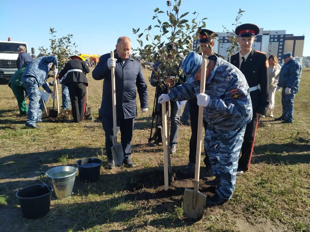 Высадка деревьев Белгородский района. Аллея работникам. Белгородская область новости. Белгород новости.