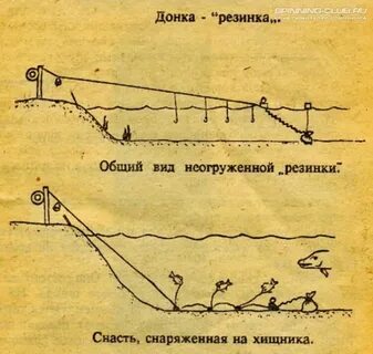 Как называется команда донка