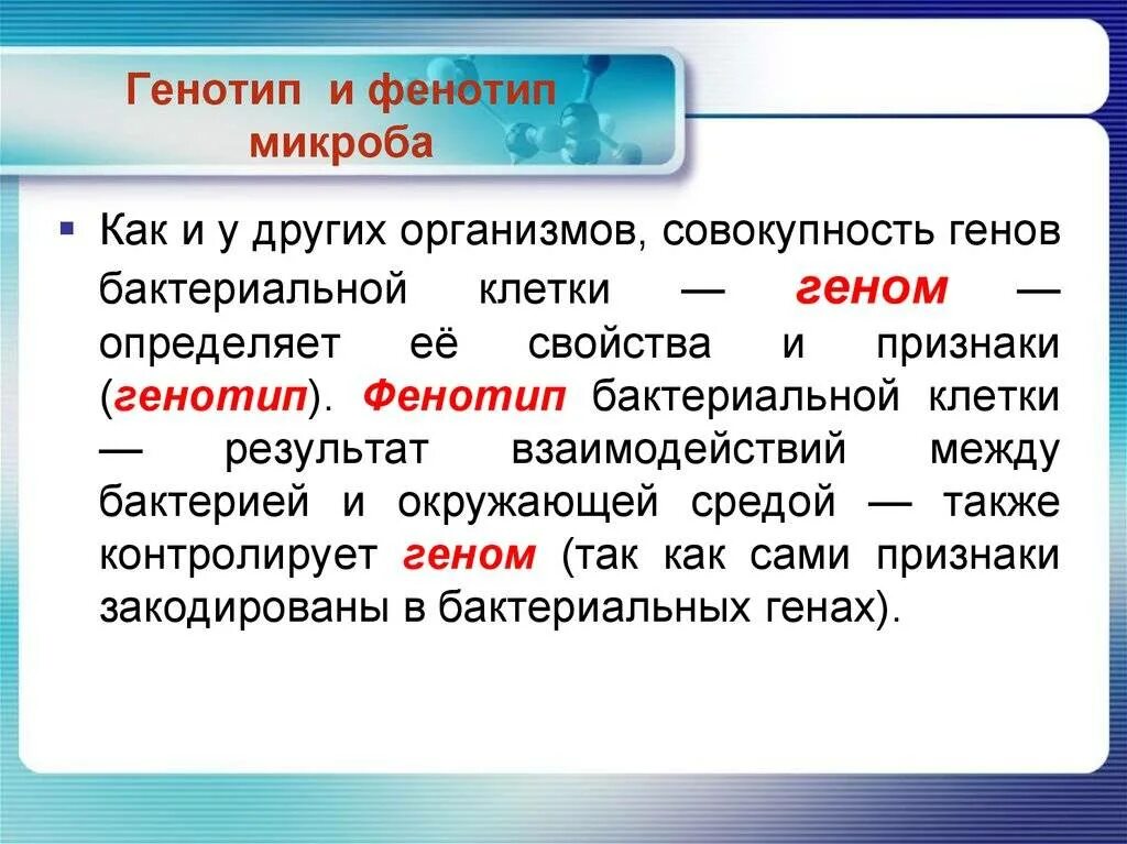 Фенотип соответствующий генотип. Генотип и фенотип микробиология. фенотип это микробиология. понятие генотип. генотип и фенотип бактерий.