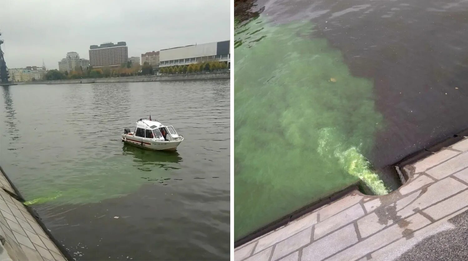 Неведомая река. Загрязнение воды в Москве реке. Загрязнённая Москва река. Москва река грязная вода. Загрязнение Москвы реки.