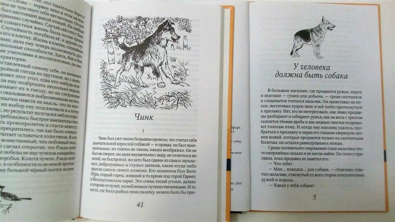 Рассказы снап