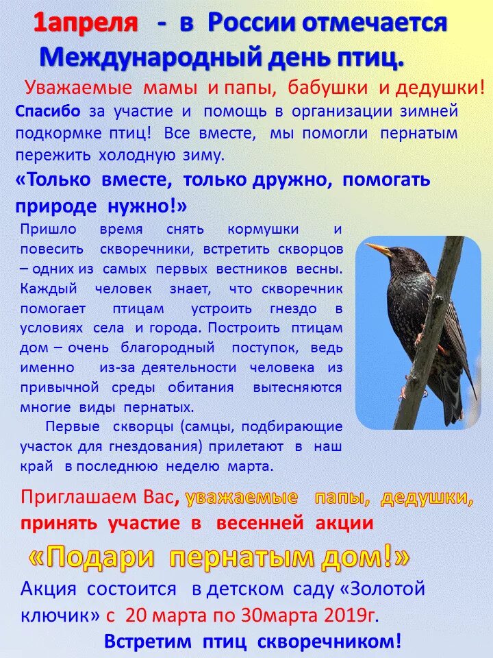 План на каждый день птицы. Международный день птиц. 1 Апреля Международный день птиц. Апрель день птиц. 1 Апреля день птиц в детском саду.