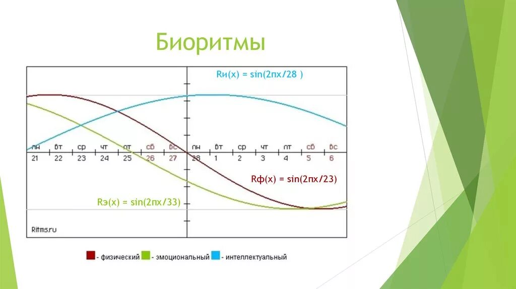 Суточные биоритмы человека график. Суточный цикл Биоритм. Суточные биоритмы схема. Диаграмма биоритмов человека.