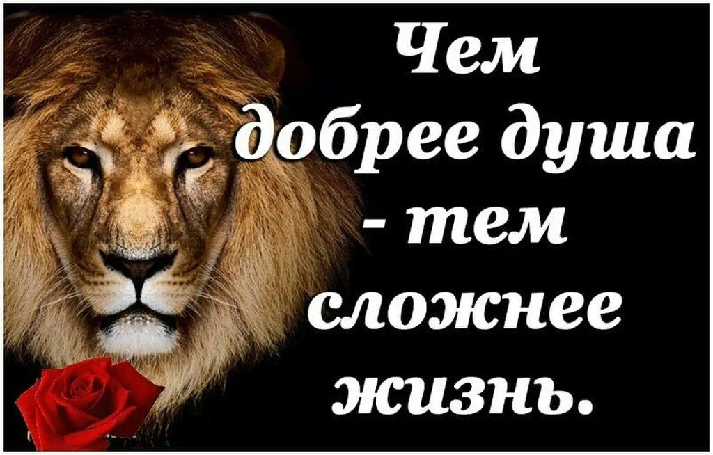 Жизнь сложная штука цитаты. Цитаты про сложную жизнь. Открытка жизнь сложная штука. Жизнь очень сложная штука цитата.