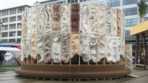 Mushroom building