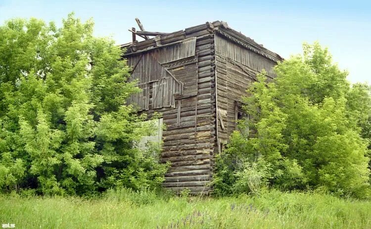 П длит. Харьковская область село Токаревка. Старые фото Токаревки Тамбовской области. Село Токаревка Харьковской обл. Храм Токаревка.