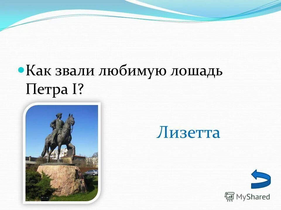 Лошадь петра i лизетта. Собака петра 1 в зоологическом музее. Лизетта конь петра 1 зоологический музей. Как звали любимую лошадь петра первого. Лошадь петра i лизетта.