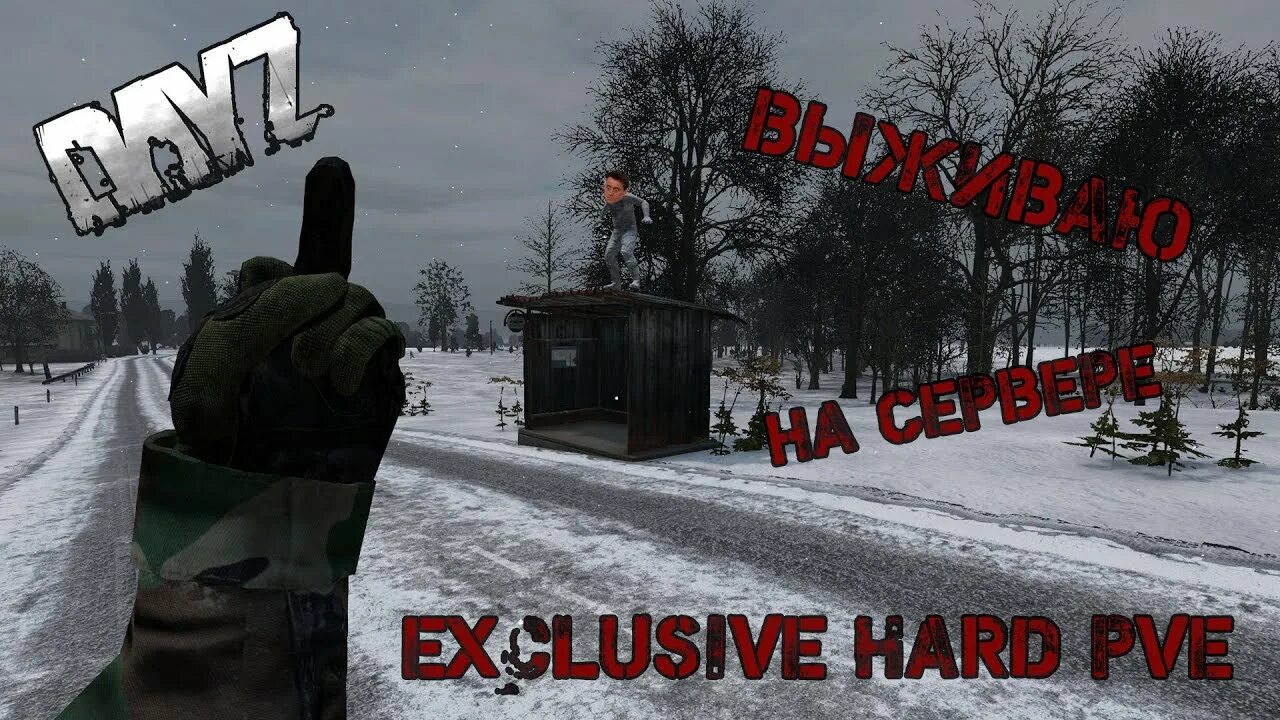 Hard pve. Хард ПВЕ дейз. Bear PVE DAYZ Ливония. DAYZ hard PVE Servers. DAYZ Exclusive Project PVE.