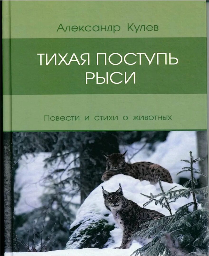 Книги про рысей. Книги про Рысь для детей. Повесть о рыси. Риса повесть о рыси. Читать поступь 6