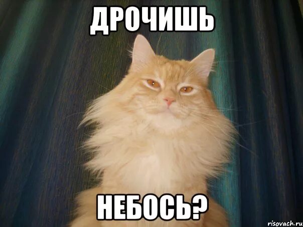Опять Дрочить Что Ли