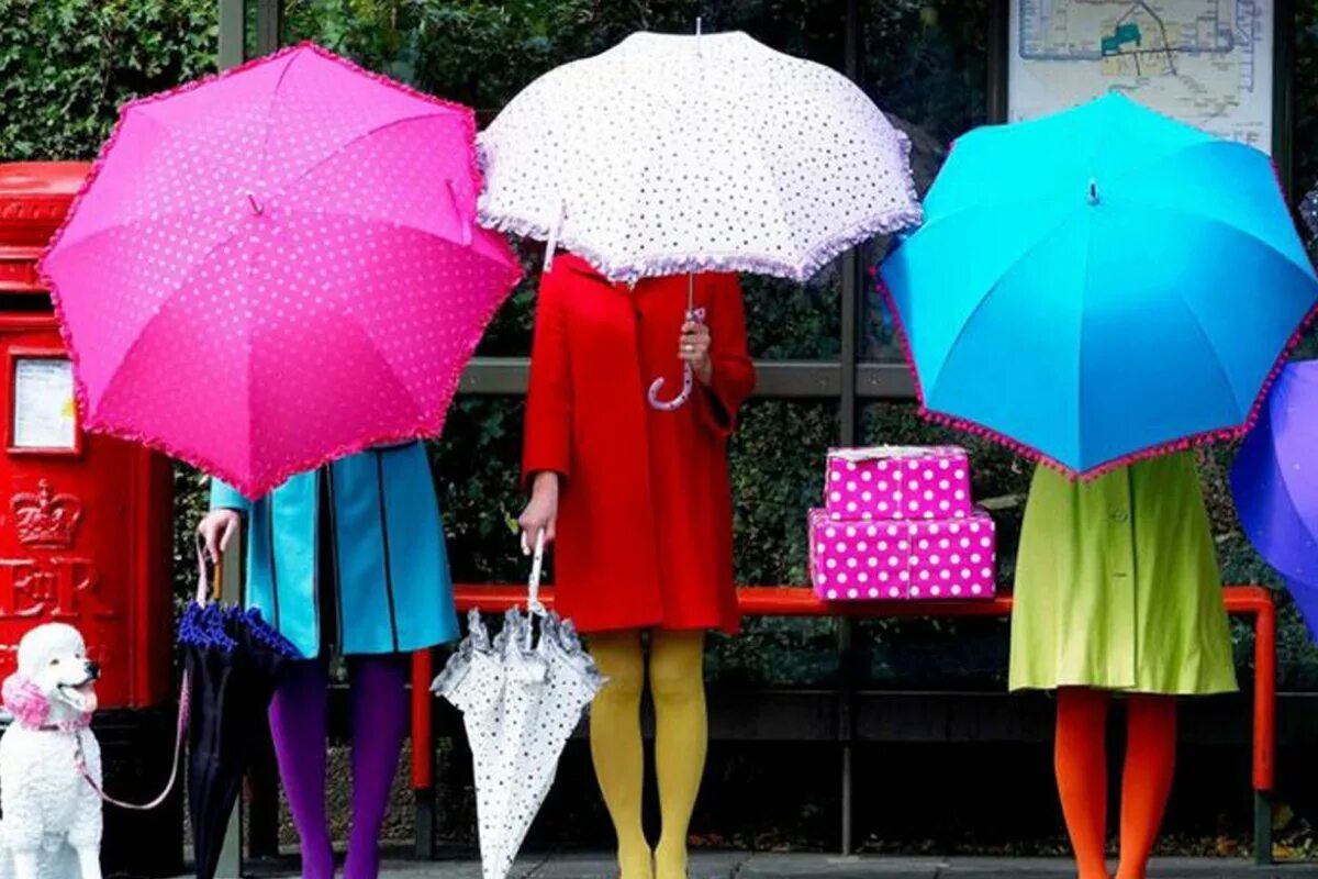 Зонтики яркие. Разноцветные зонтики. День разноцветных зонтов. Красивый зонт. Продавец зонтиков