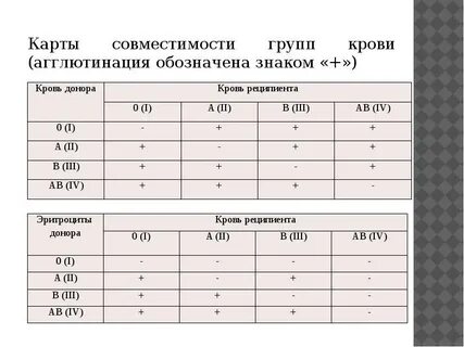 Первая положительная первая отрицательная беременность