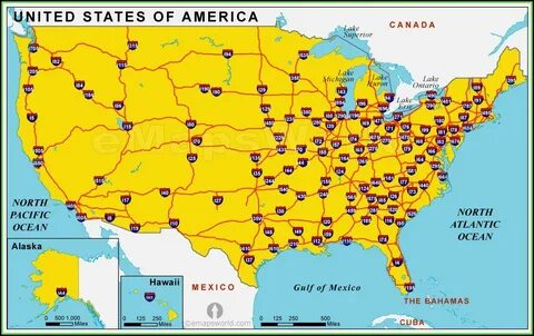 Крупная сеть в сша