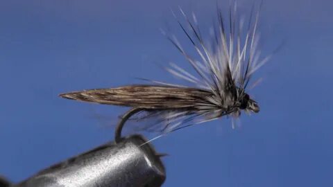 Fly flies видео