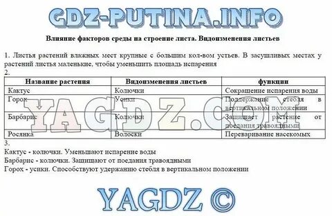 Биология 6 класс страница 29 лабораторная работа