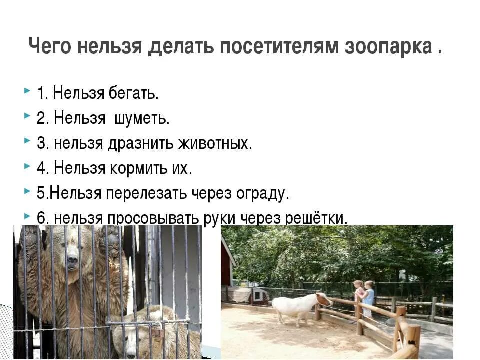 Что такое зоопарк 1 класс. Презентация зоопарк. зоопарк презентация для дошкольников. предложение про зоопарк. зоопарк по окружающему миру.