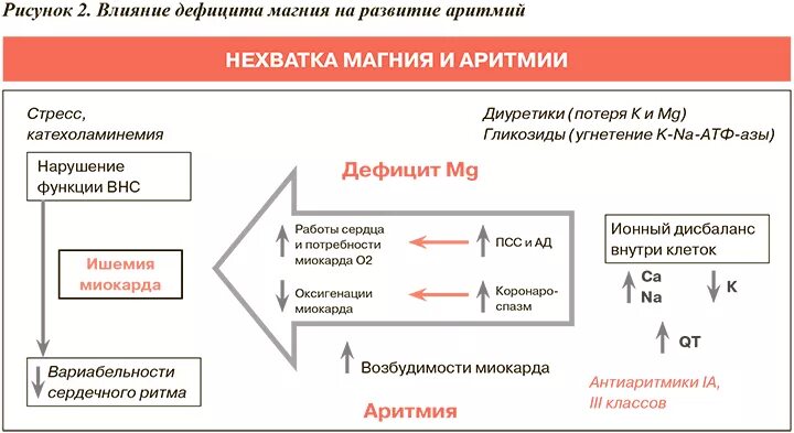 Как восполнить дефицит магния. Роль магния в работе сердца. препараты калия и магния механизм действия. магний влияние на сердечно-сосудистую систему. механизм калия и магния в антиаритмические.