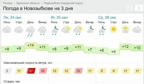 Погода в ноябре в новозыбкове