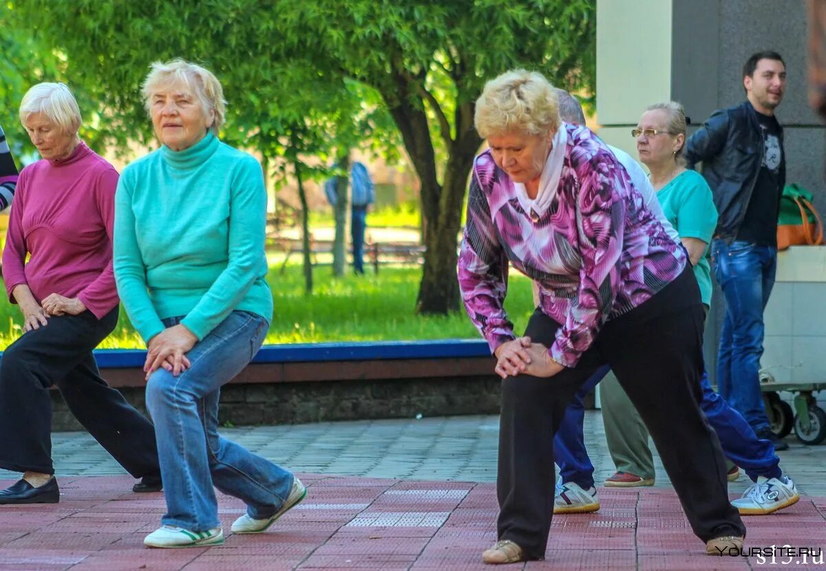 Ласточка для пенсионеров. Физкультура для пожилых. Занятия для пожилых. Пожилые люди спорт. Спорт для пожилых.