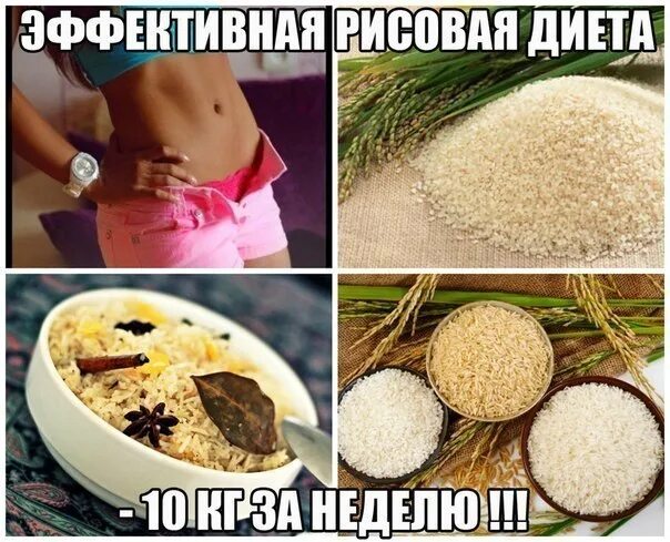 Что будет если каждый день есть рис. Рисовая диета. диета на рисе. рис для похудения. рисовая диета для похудения.
