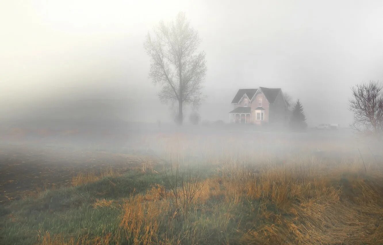Туманное утро в деревне. Дорога в тумане утром. Одиночество дорога. Дом в тумане. Дорога в тумане.