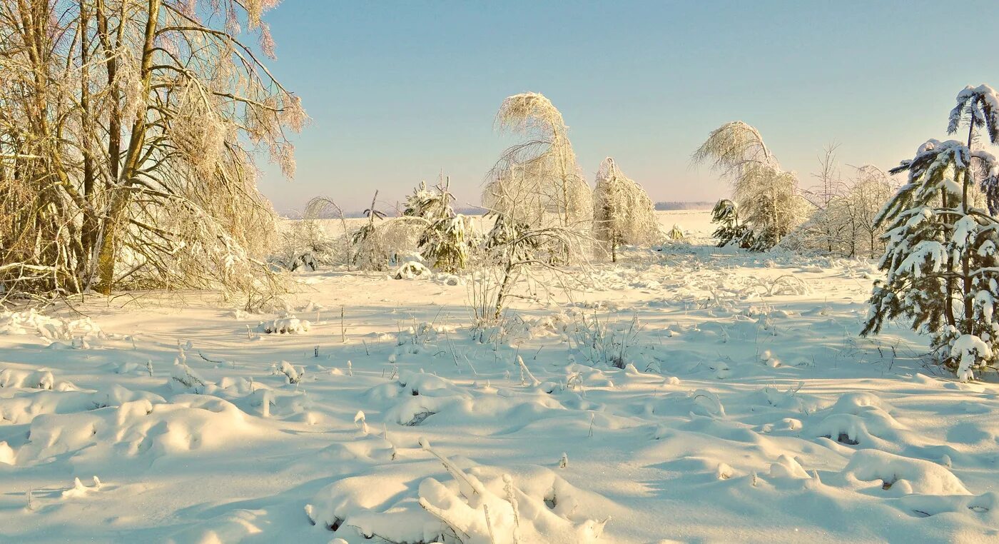 Земля покрытая снегом. Снежное одеяло. Снег лежит. Снег кругом. Снег покрыл все кругом