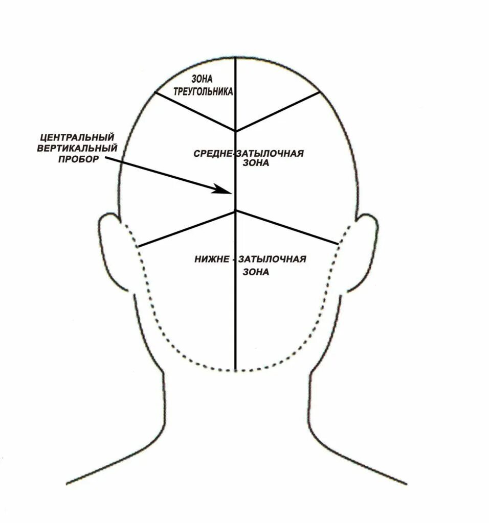 Затылок это где. Схема теменная зона головы. Проборы головы для парикмахеров схема. Вертикальный пробор головы для парикмахеров схема. Стрижка затылочной зоны схема.