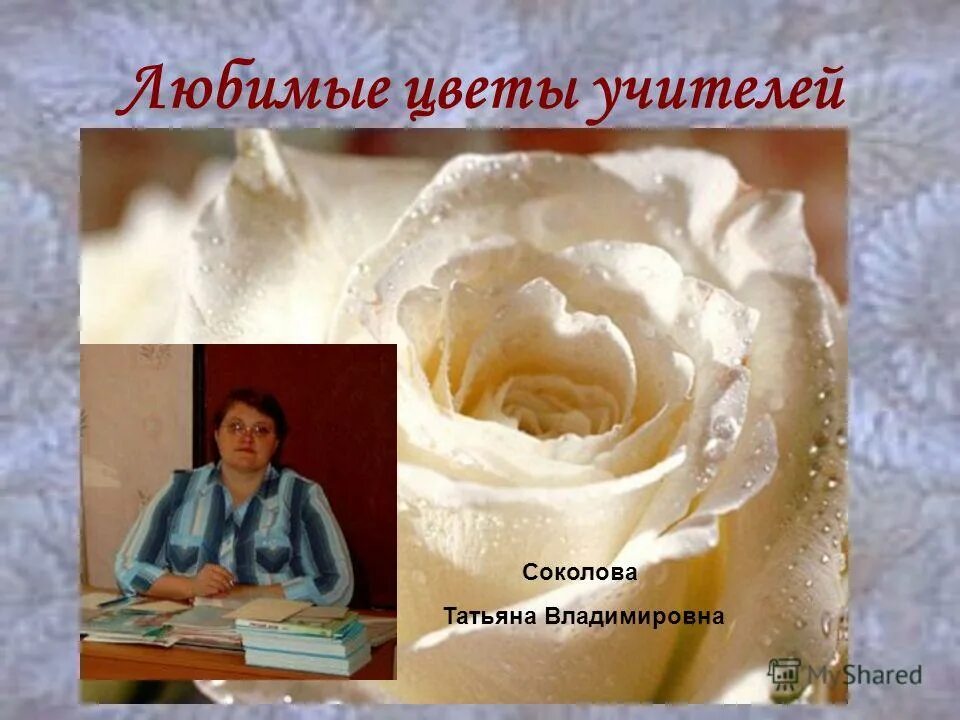 Цветы учителю. Любимые цветы учёных.