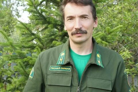 Зеленая лесника
