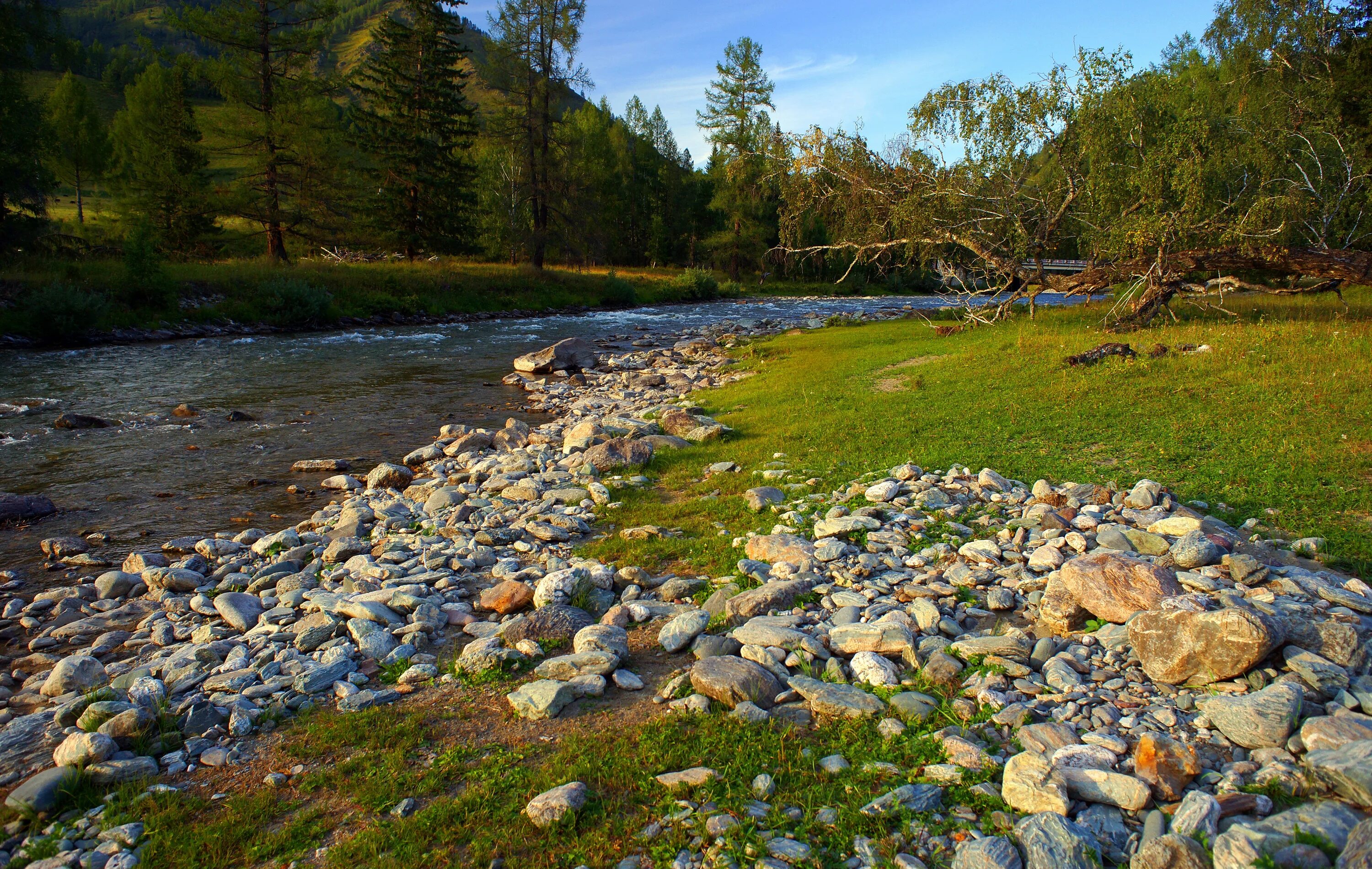 Stone river. Каменистый берег горный Алтай. Палеопарк Чемал. Река Бурначка. "Каменная река" остров Попова.