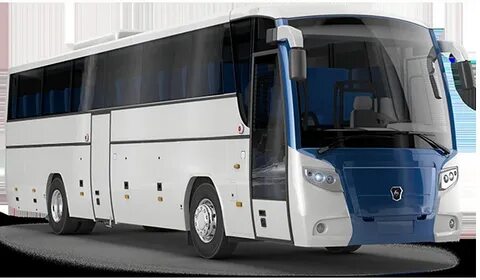 Водители каких маломестных автобусов
