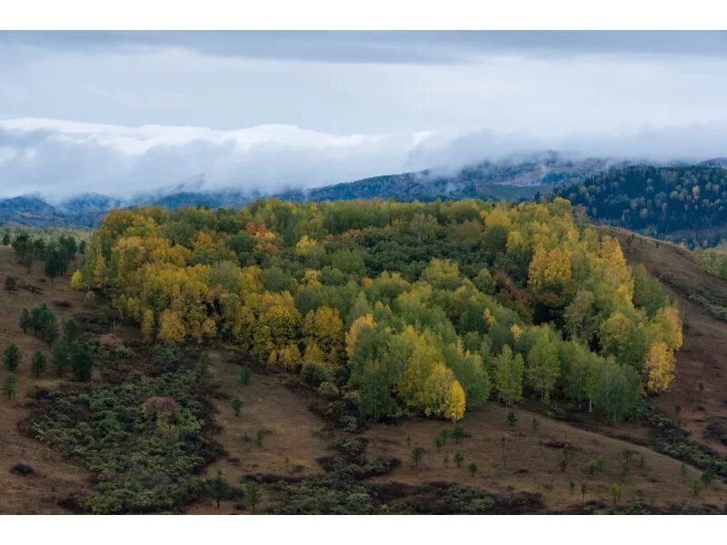 Погода ивановка алтайский край. Курьинский район Алтайский край. Река белая Алтайский край Курьинский район. Колывань Алтайский край Курьинский район. Река белая Алтайский край Курьинский район с Колывань.