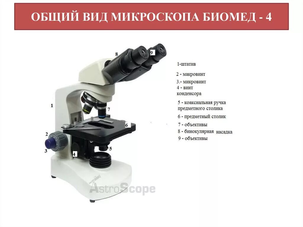 Что общего у микровинта и макровинта