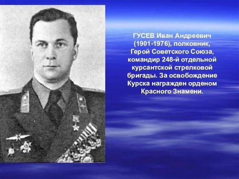 Вов гусев