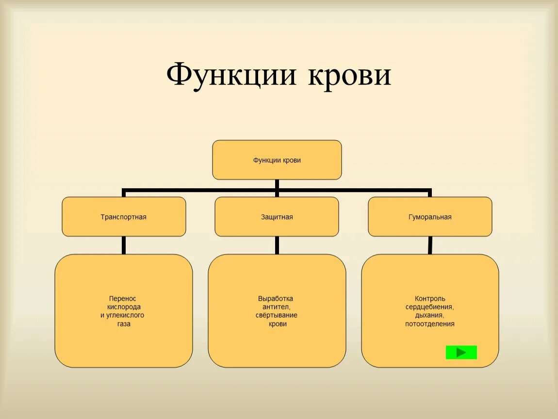 Функция не относится к тест. К функции крови не относится. Функции крови. К транспортным функциям крови относят. Что относится к функциям крови.