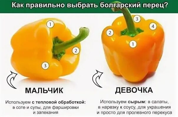 Перец какие витамины содержит. Перец мальчик или девочка. болгарский перец мальчик или девочка. болгарский перец мальчики и девочки. перец девочка.