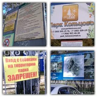 Синема парк кольцовская ул 35 отзывы
