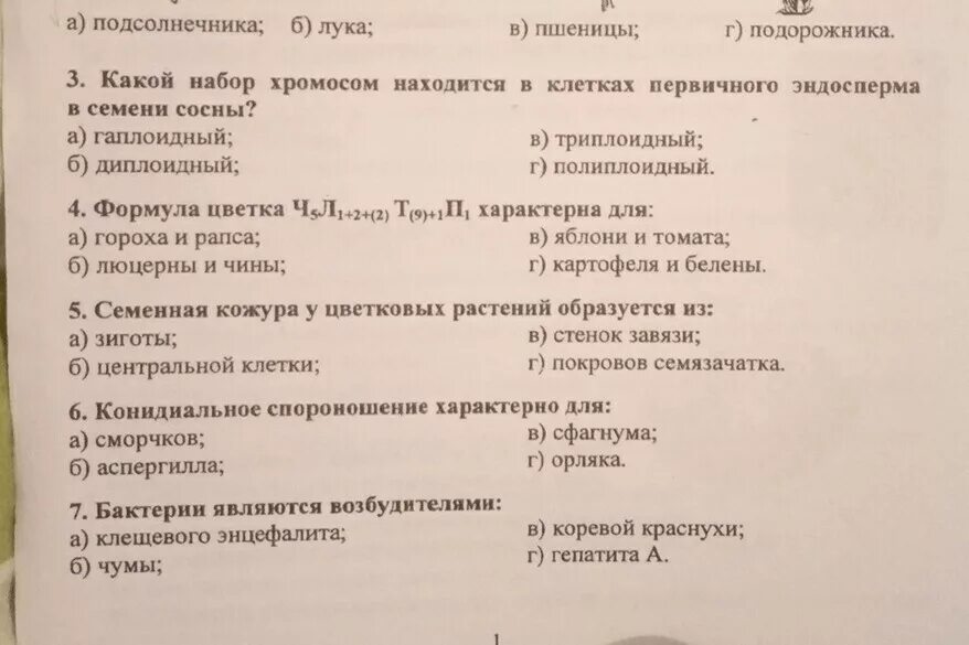 Какой набор хромосом имеет клетки эндосперма. Эндосперм семени сосны набор хромосом. клетка эндосперма семени сосны набор хромосом. набор хромосом в клетках первичного эндосперма семени сосны. какой набор хромосом в клетках эндосперма в семени сосны.