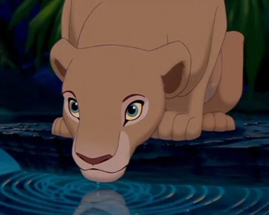 Pin by Dory Boháčová on The Lion King Lví král, Lvi, Zvířata