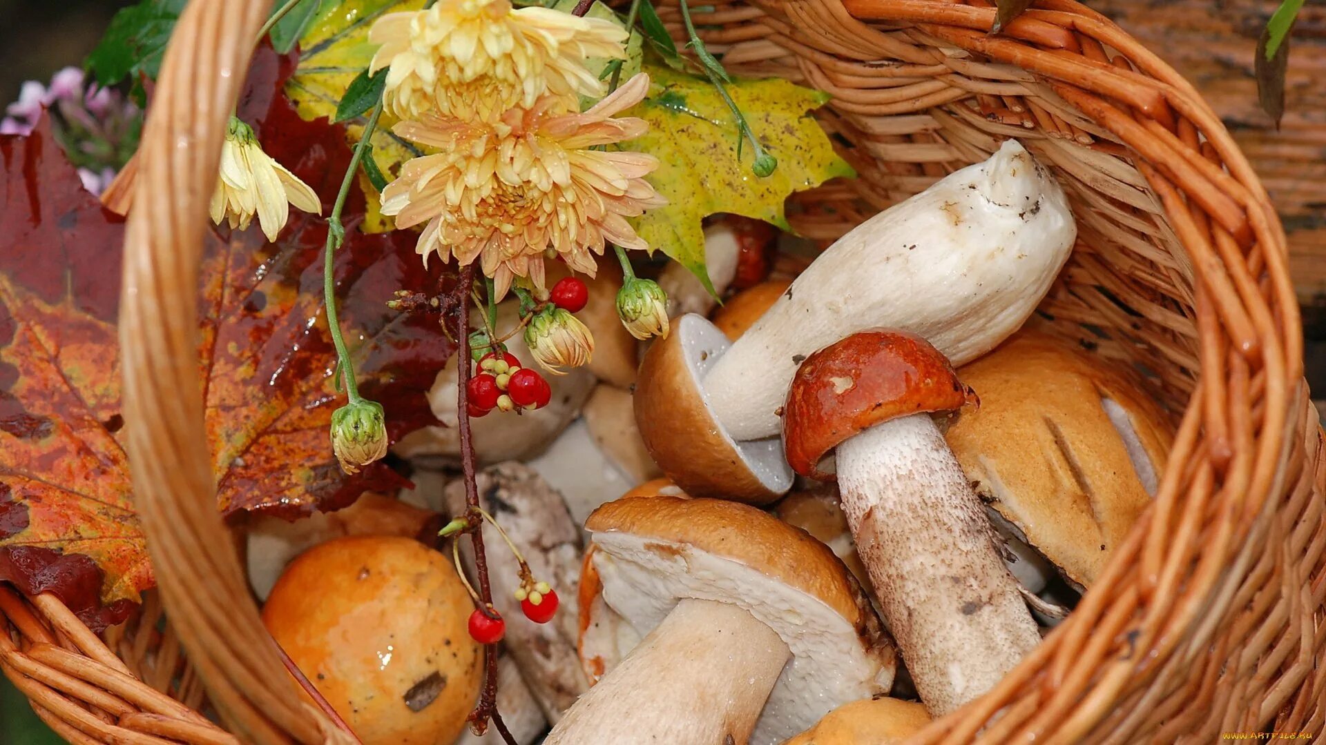 Хороша грибами время года. Осенние грибы. Корзина с грибами. Осенние композиции с грибами. Грибы съедобные в лукошке.