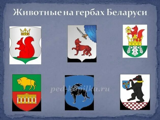 Крылатый зверь на гербе хакасии. Герб с животными Беларусь. Тема животных на гербе. Символ животного Беларуси. Белорусский герб животное.